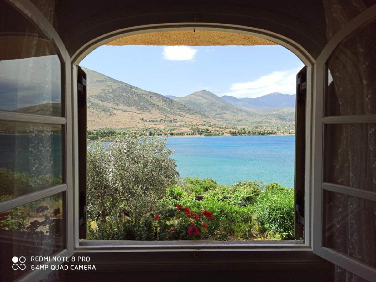 Aphrodite'S Coast Retreat House! Galaxídhion Eksteriør bilde
